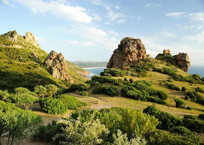 Nyaraló Arromaniu Nebida